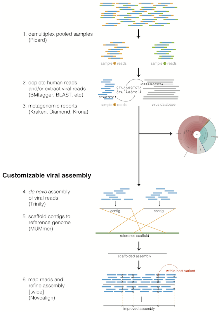 _images/viral-ngs-overview.png